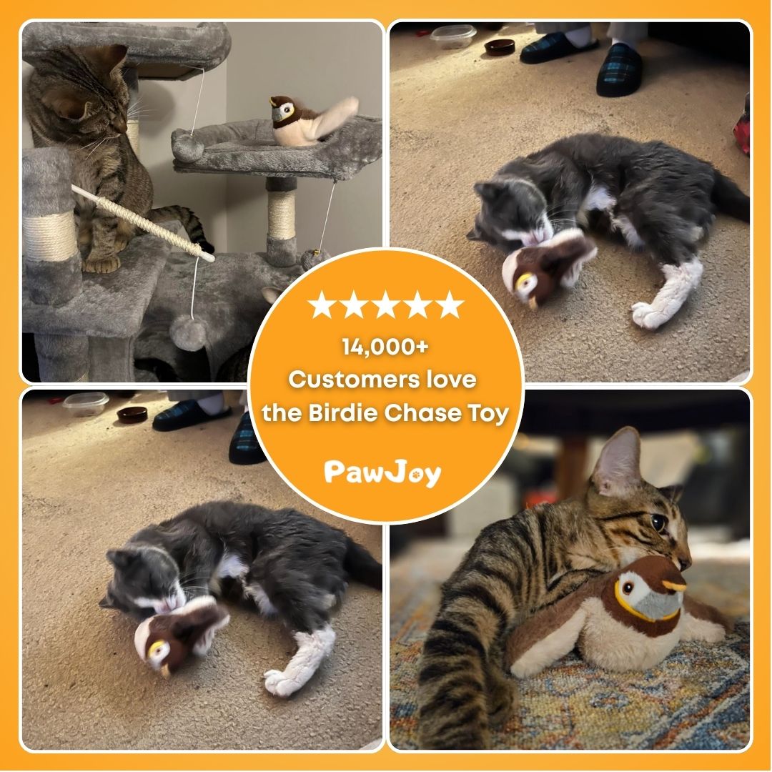 PawJoy™ - Birdie Chase Toy