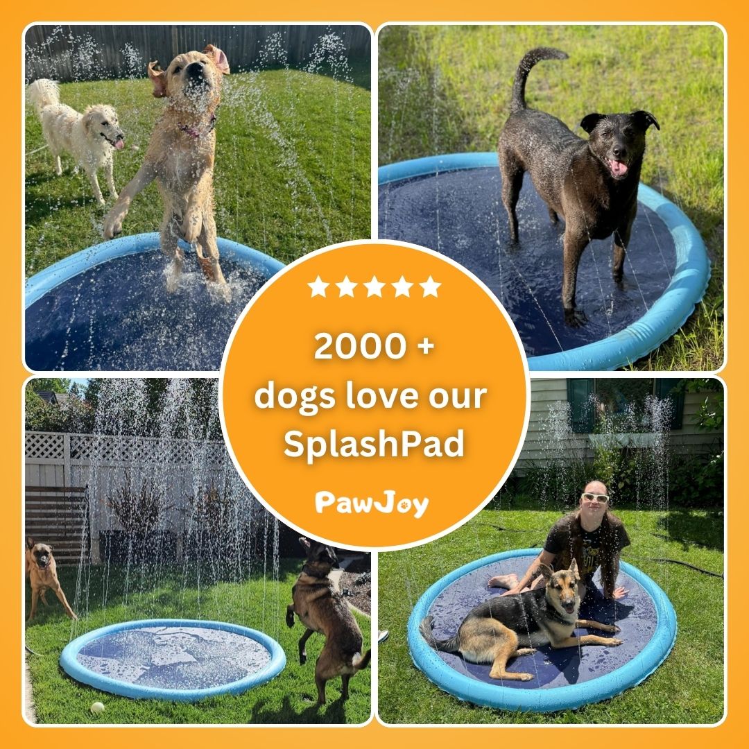 PawJoy™ - SplashPad