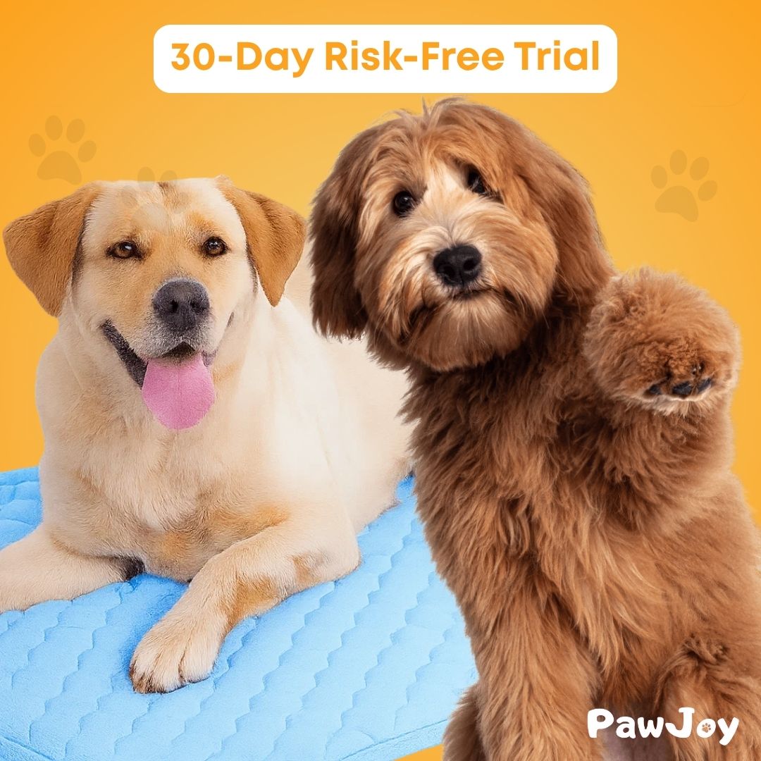 PawJoy™ - Dog cooling mat