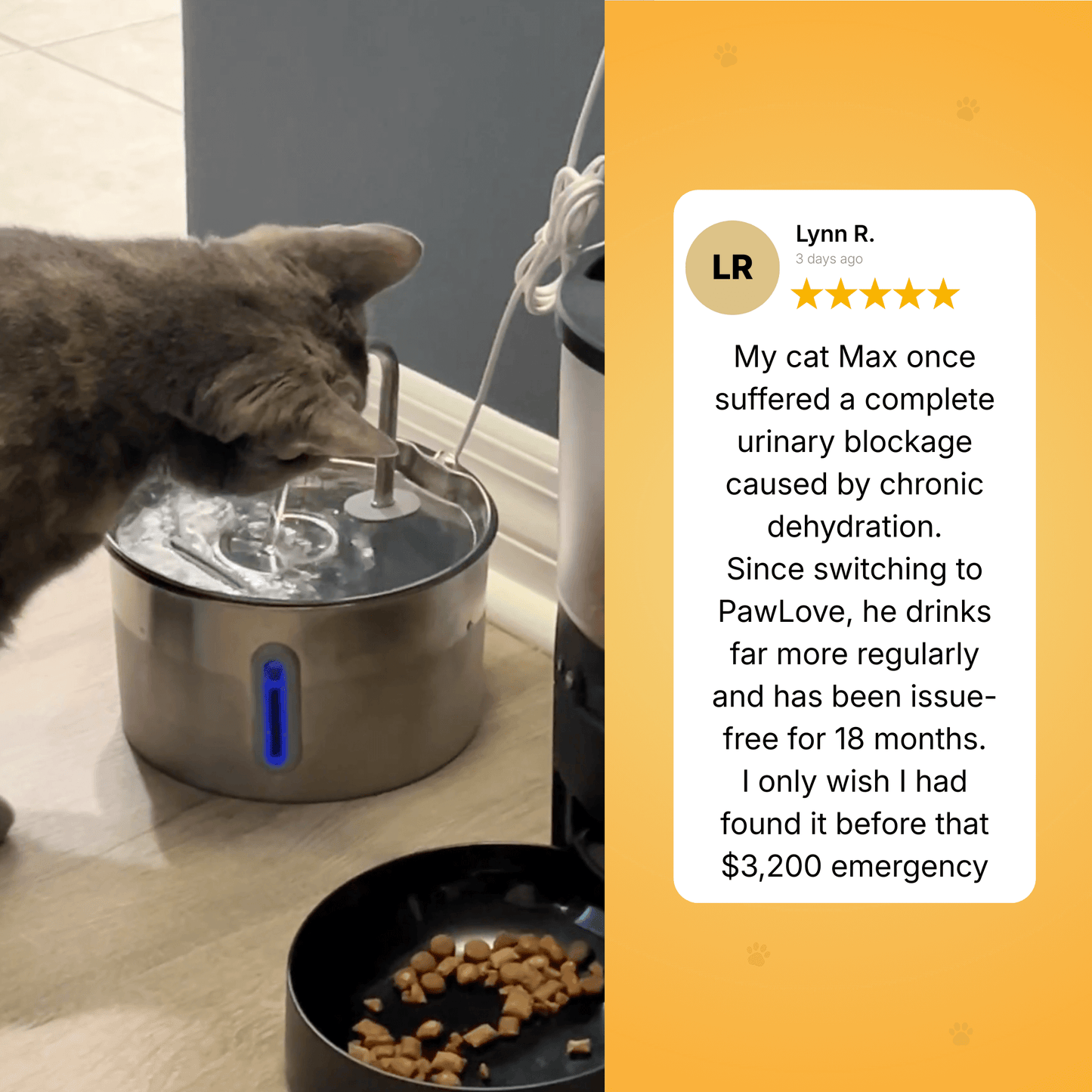 PawJoy - Cat Water Fountain
