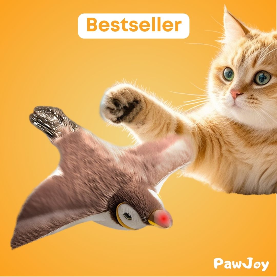 PawJoy™ - Birdie Chase Toy