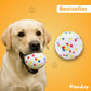PawJoy™ - PowerBall