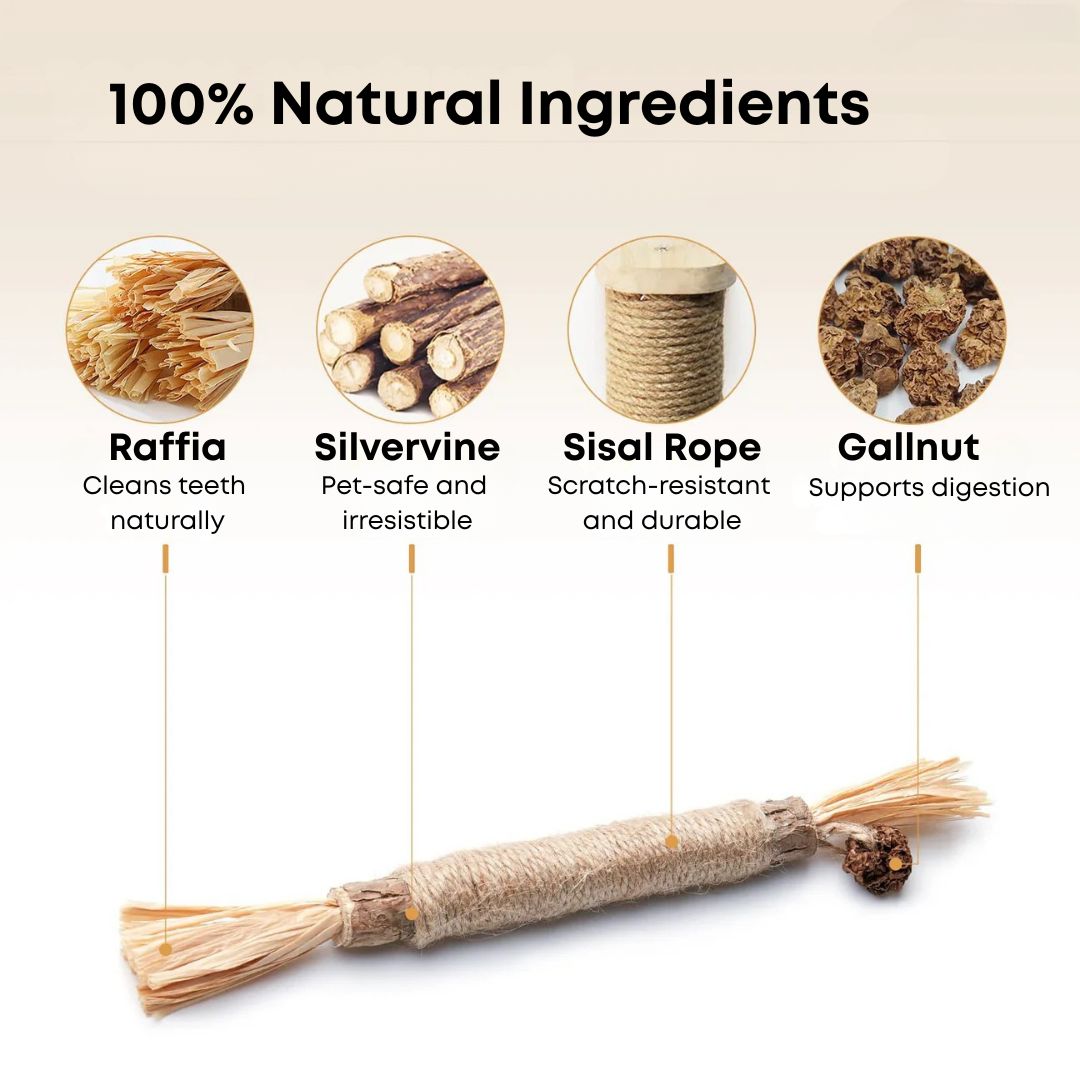 PawJoy™ - Kitty Dental Chew Stick No end of fun!