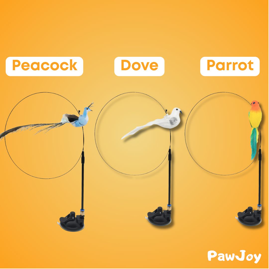 PawJoy™ - Interactive Bird Simulation