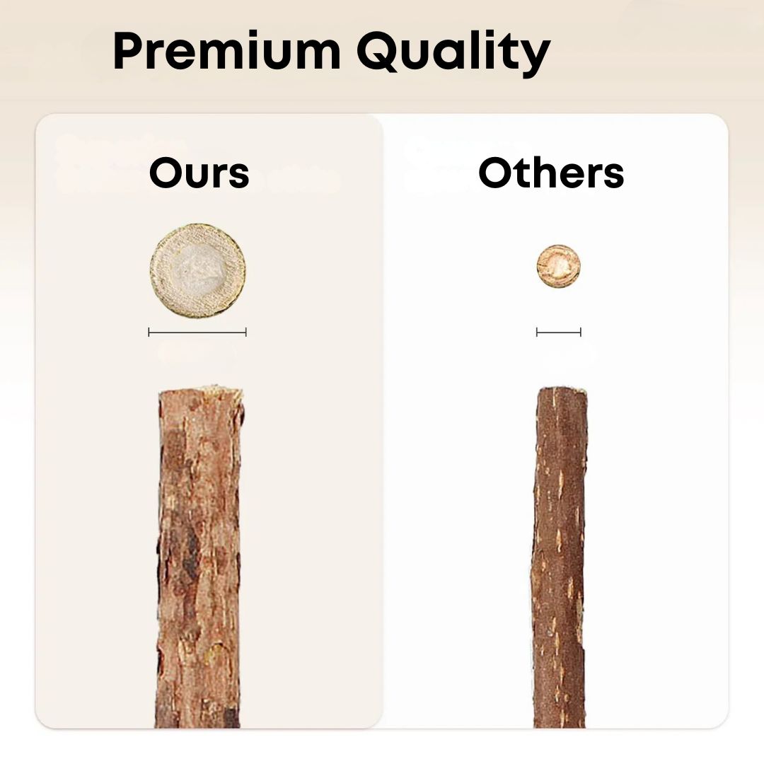 PawJoy™ - Kitty Dental Chew Stick No end of fun!