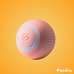 PawJoy™ - Interactive cue ball