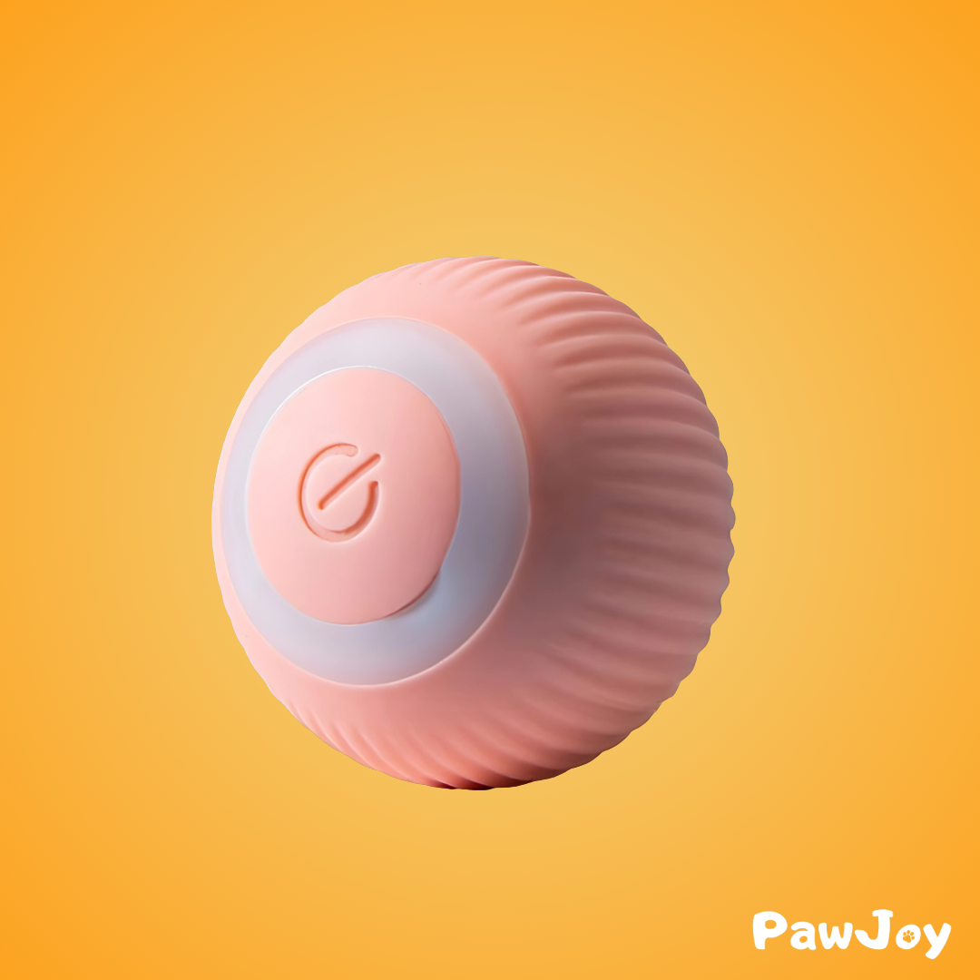 PawJoy™ - Interactive cue ball