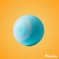 PawJoy™ - Interactive cue ball