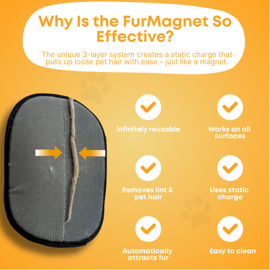 PawJoy™ - FurMagnet