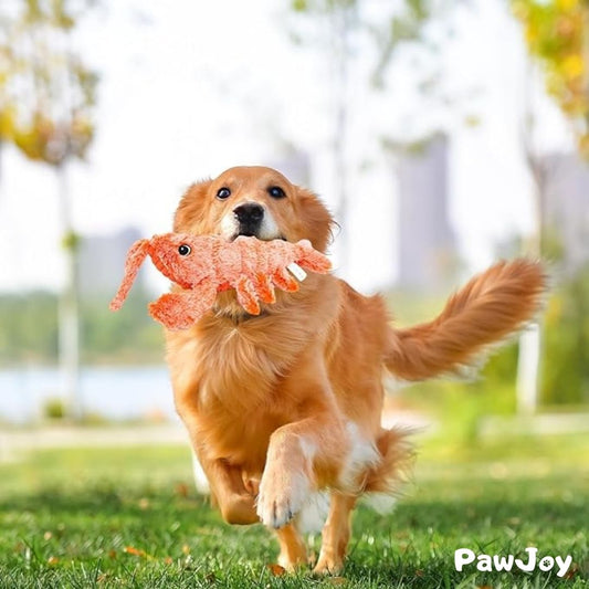 PawJoy™ - Floppy Lobster