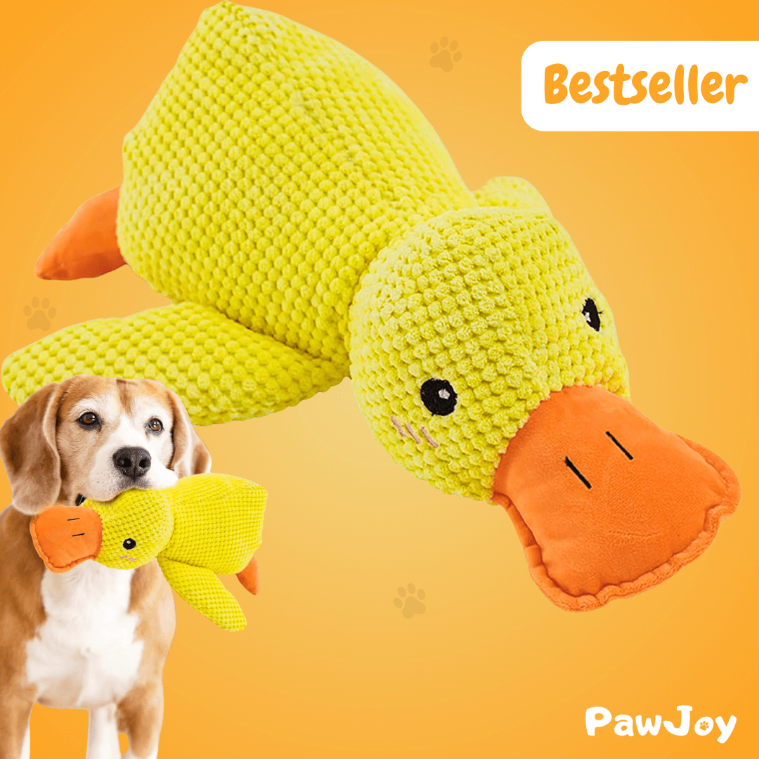 PawJoy™ - Calming Duck.