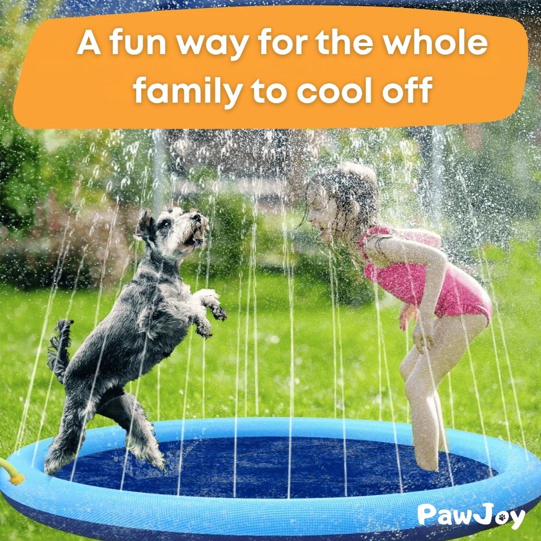 PawJoy™ - SplashPad