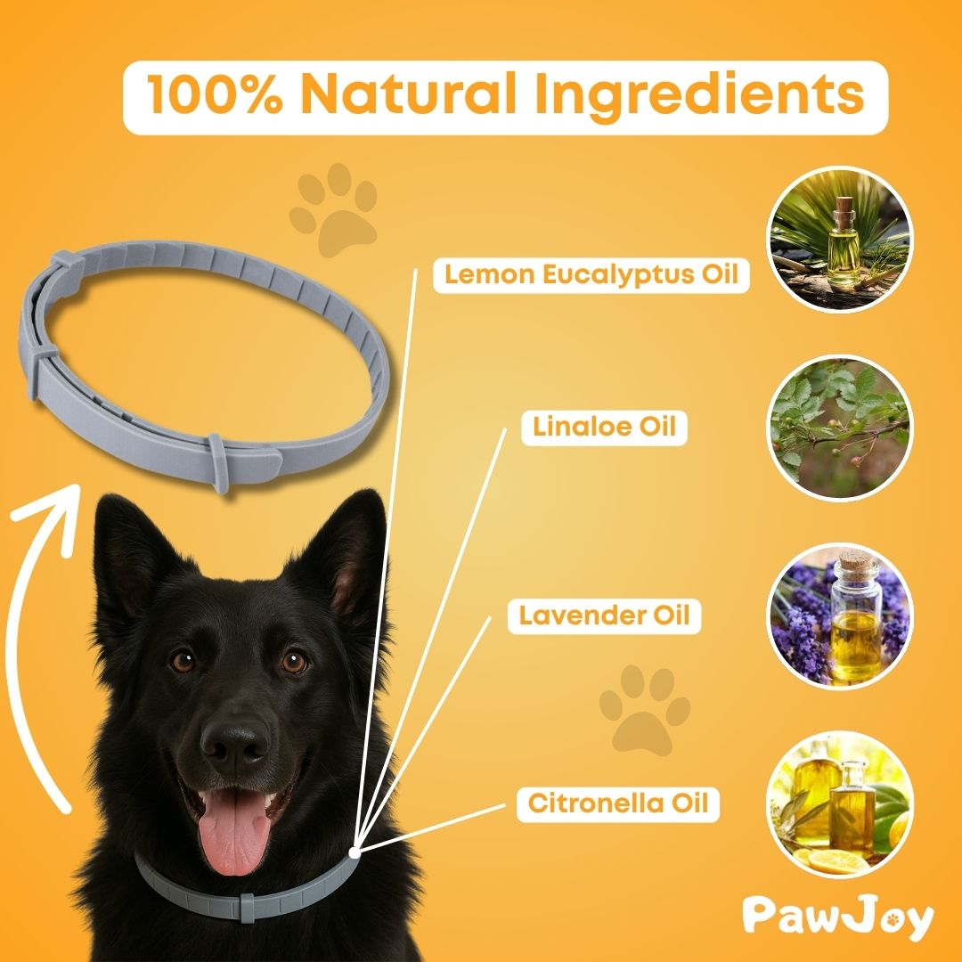 PawJoy™ - Natural tick and flea protection collar