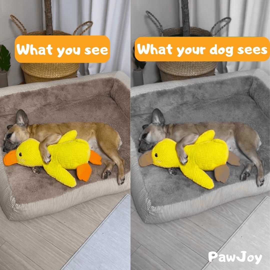 PawJoy™ - Calming Duck