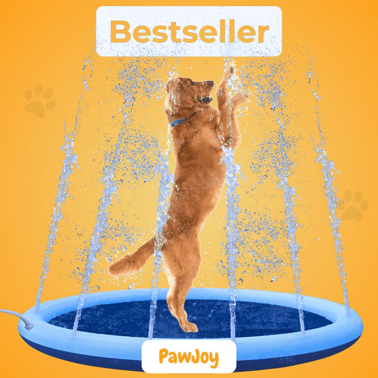 PawJoy™ - SplashPad