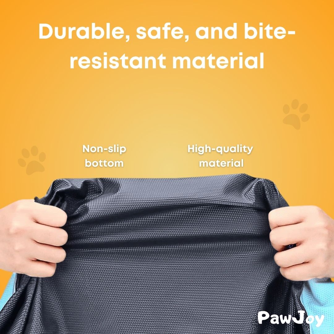 PawJoy™ - SplashPad