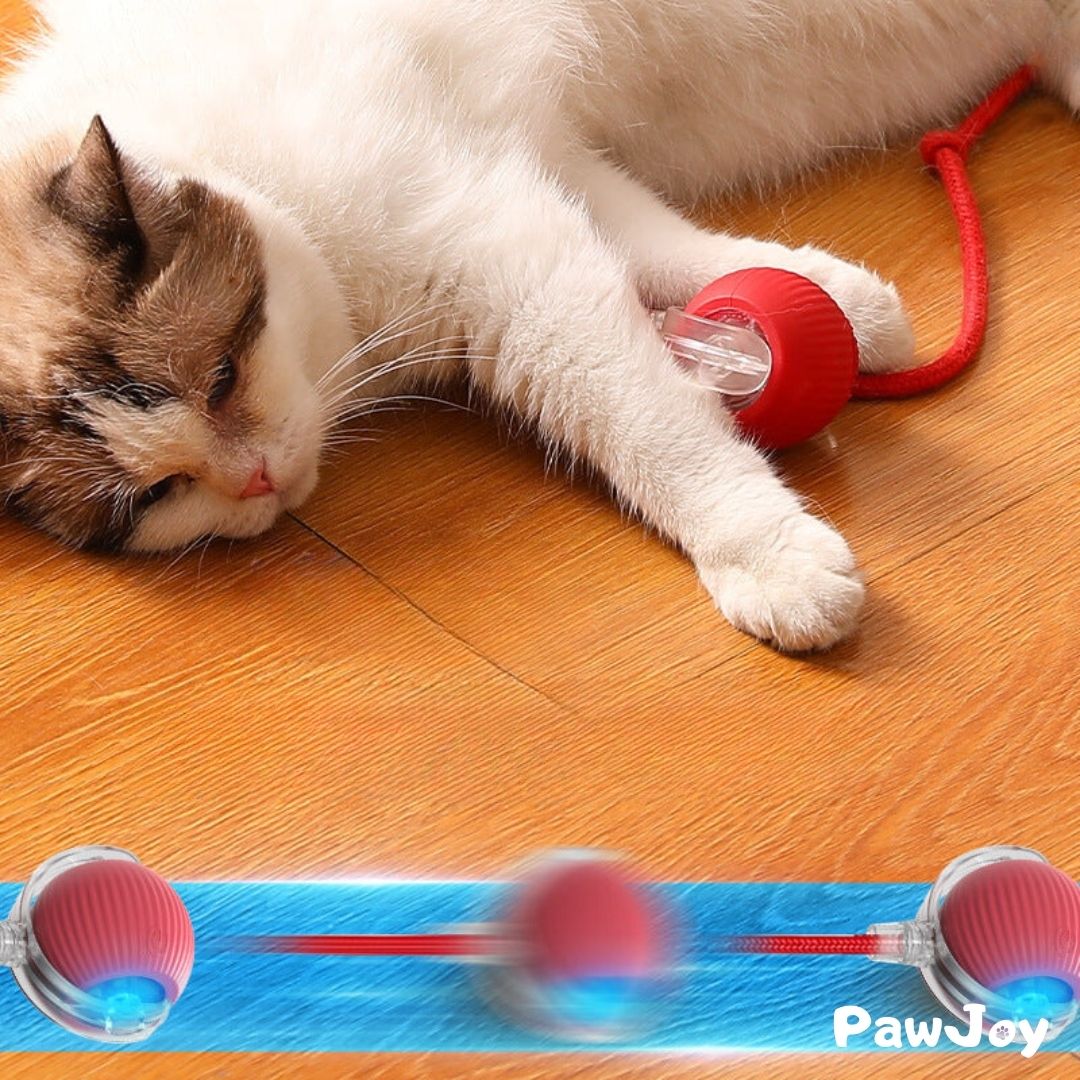 PawJoy™ - Interactive Cat Ball with Tail