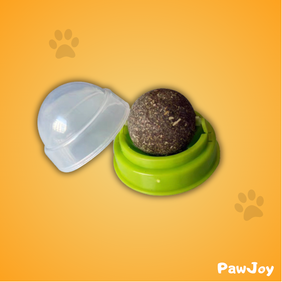 PawJoy™ - Catnip