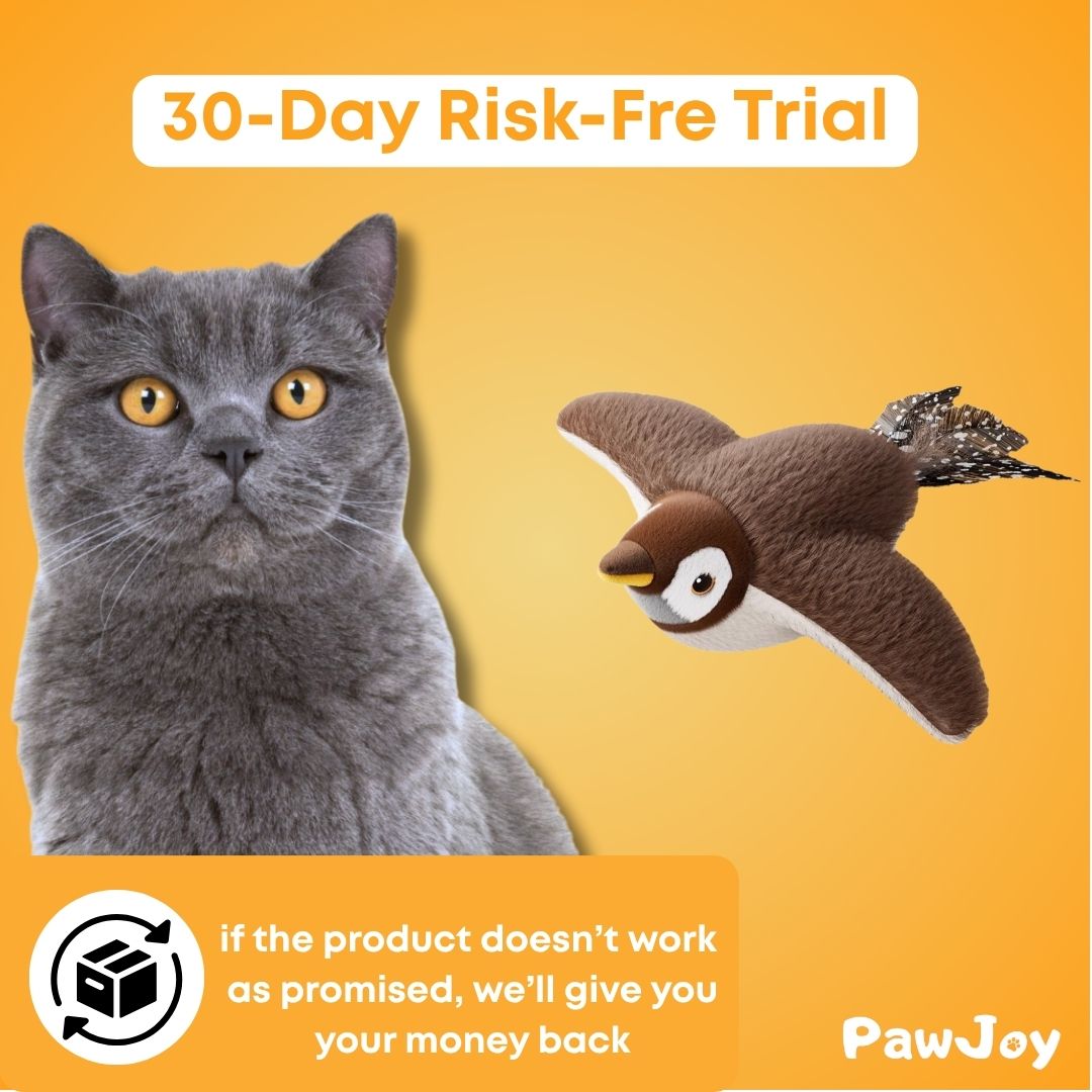 PawJoy™ - Birdie Chase Toy