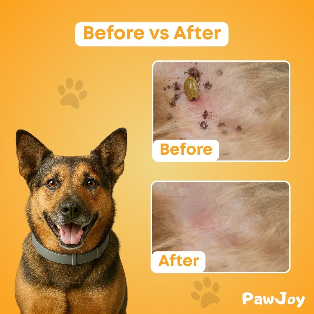 PawJoy™ - Natural tick and flea protection collar