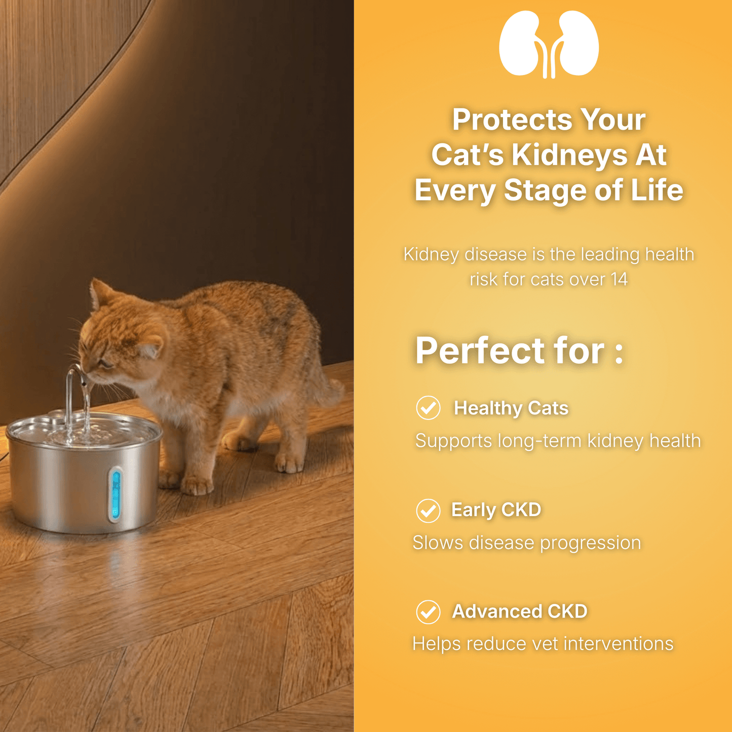 PawJoy - Cat Water Fountain