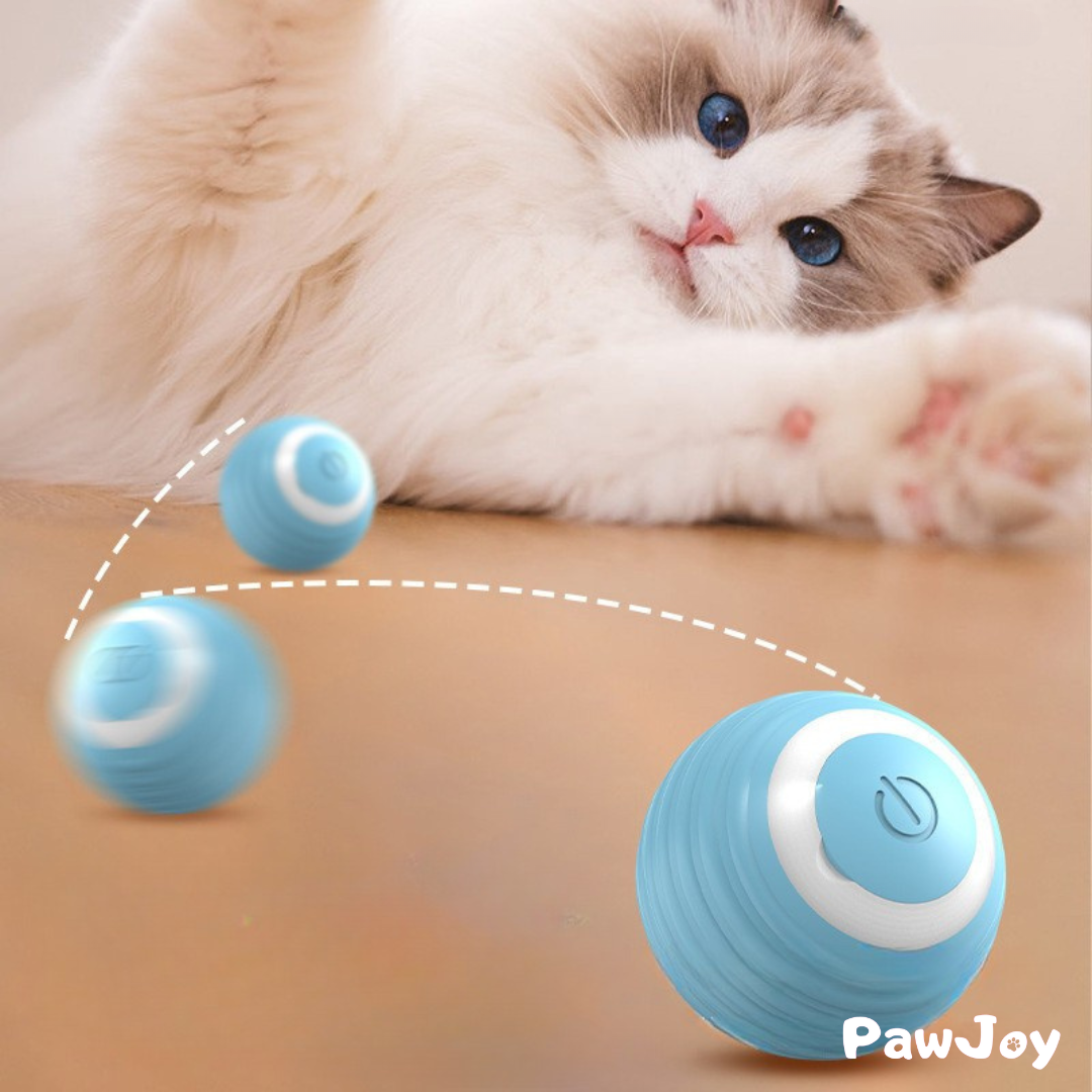 PawJoy™ - Interactive cue ball