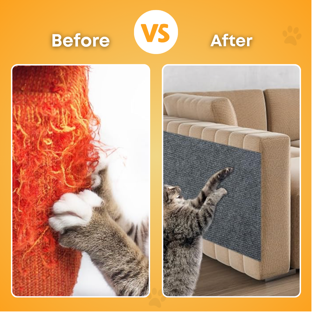 PawJoy™ - Universal Cat Scratch Guard
