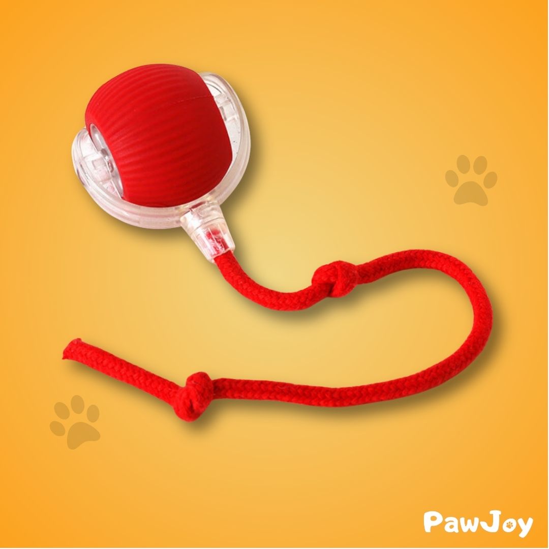 PawJoy™ - Interactive Cat Ball with Tail