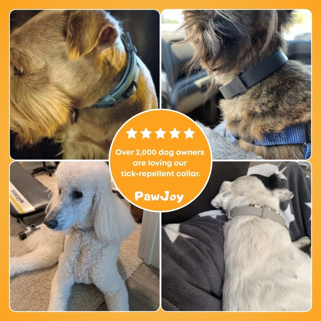 PawJoy™ - Natural tick and flea protection collar