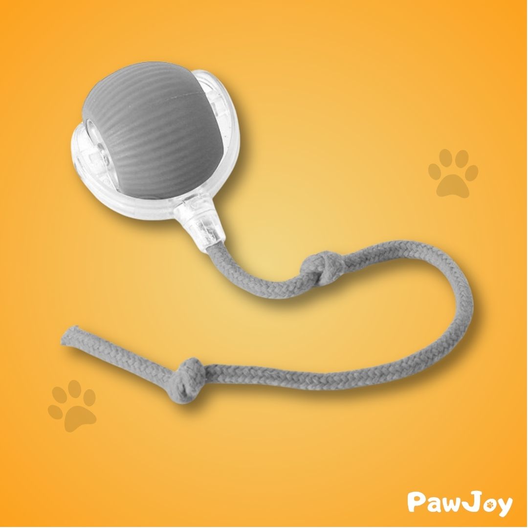 PawJoy™ - Interactive Cat Ball with Tail