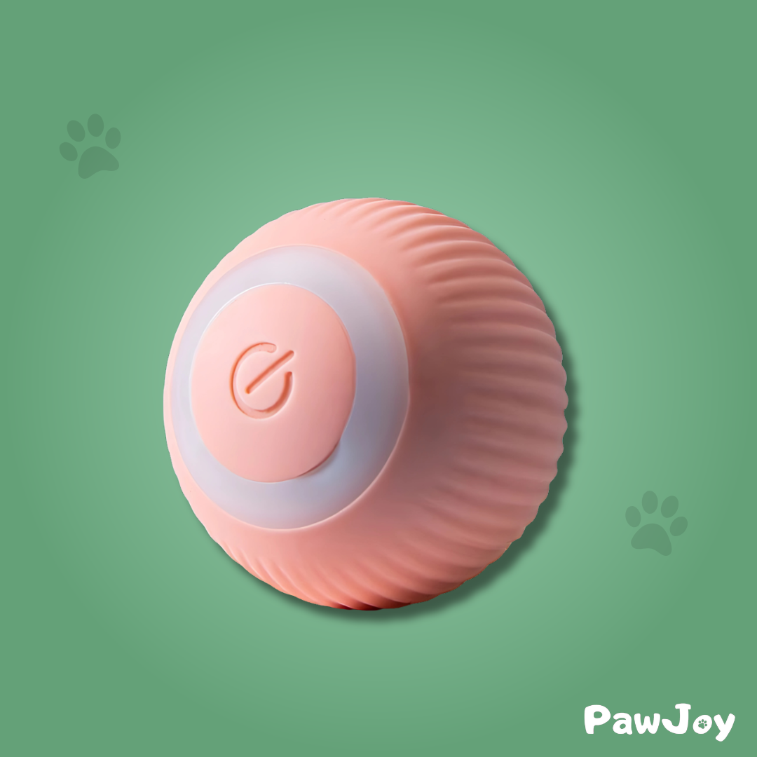 PawJoy™ - Interactive cue ball