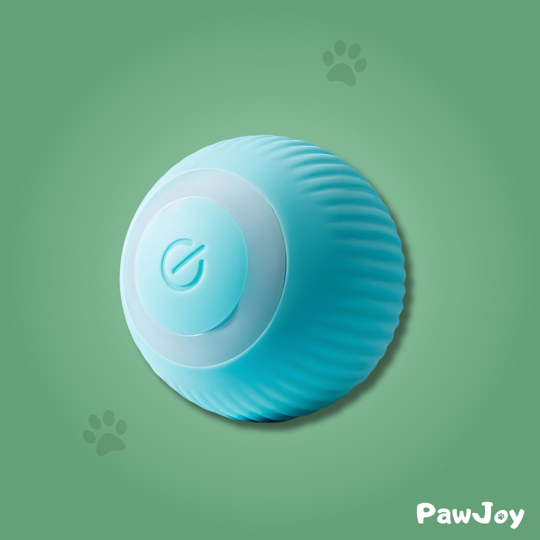 PawJoy™ - Interactive cue ball