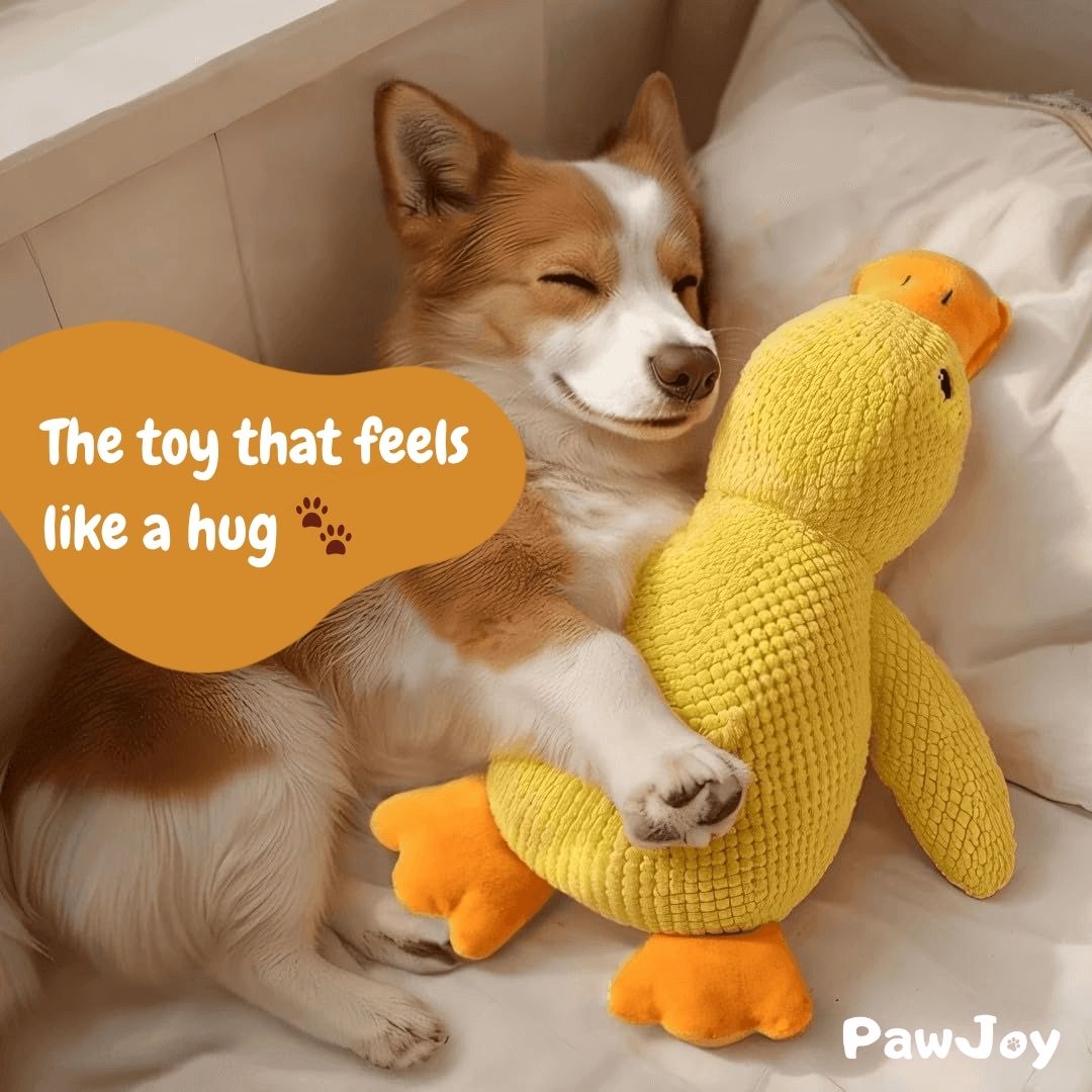 PawJoy™ - Calming Duck