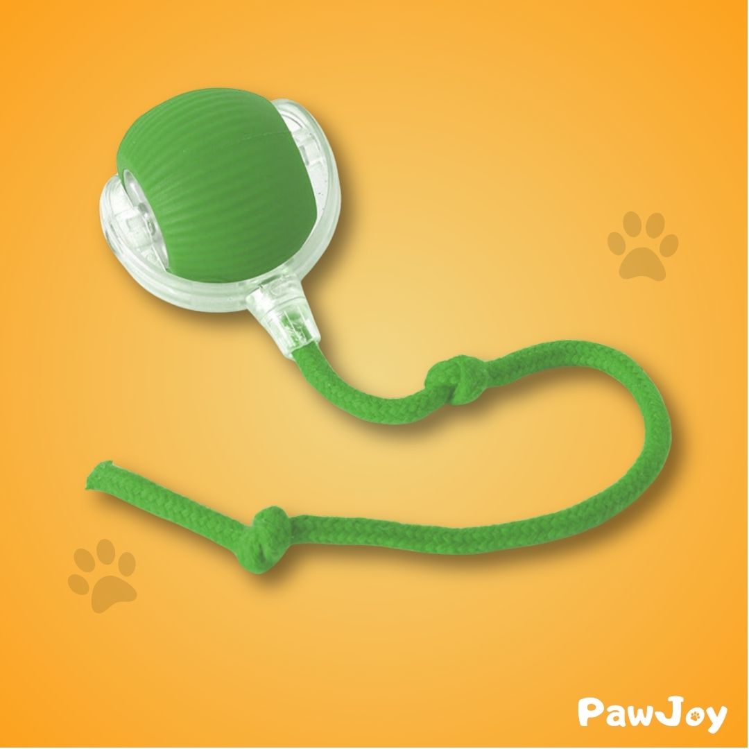 PawJoy™ - Interactive Cat Ball with Tail