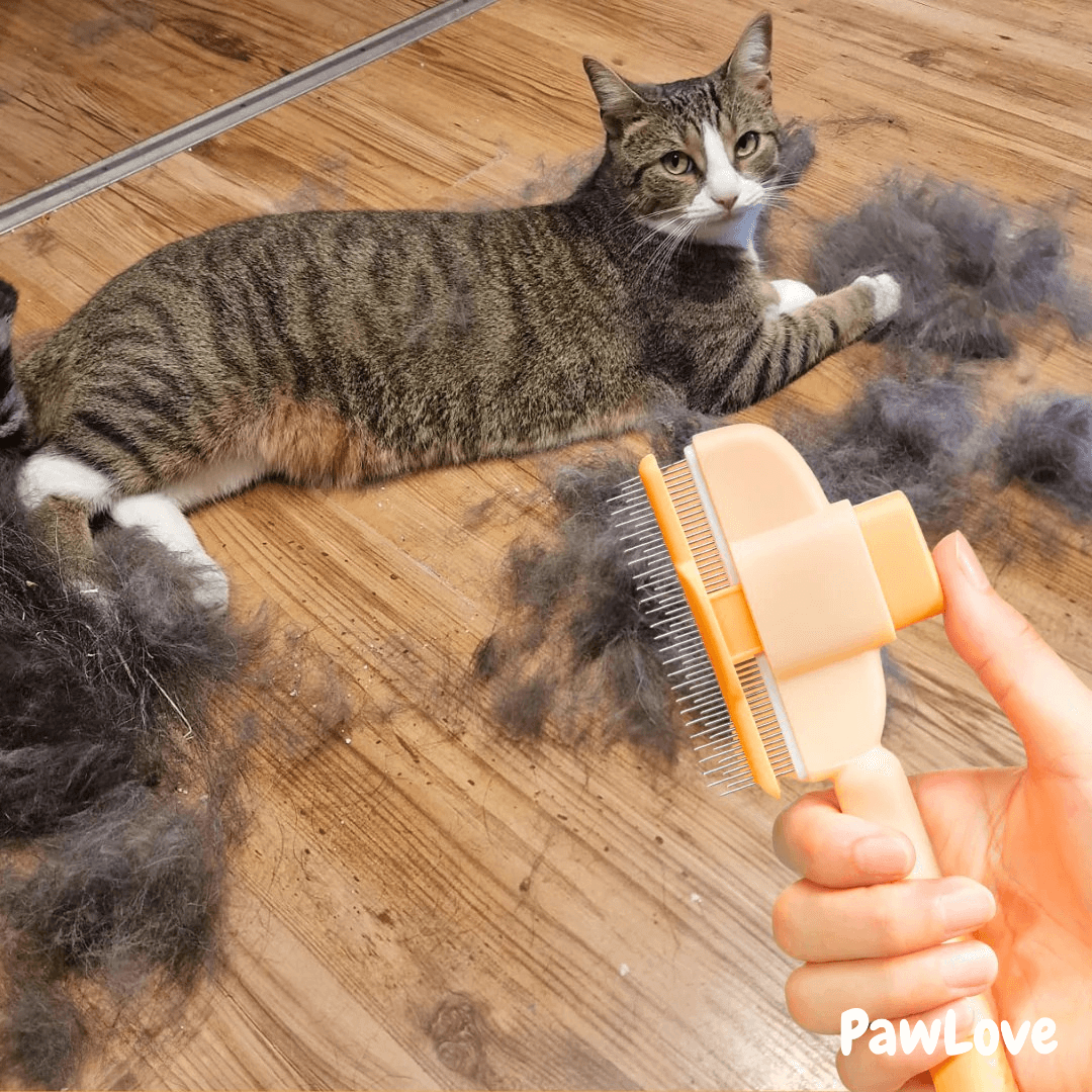 PawJoy™ - One Click Detangling Brush