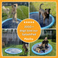PawJoy™ - SplashPad