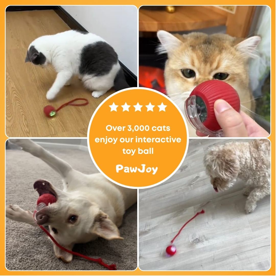 PawJoy™ - Interactive Cat Ball with Tail