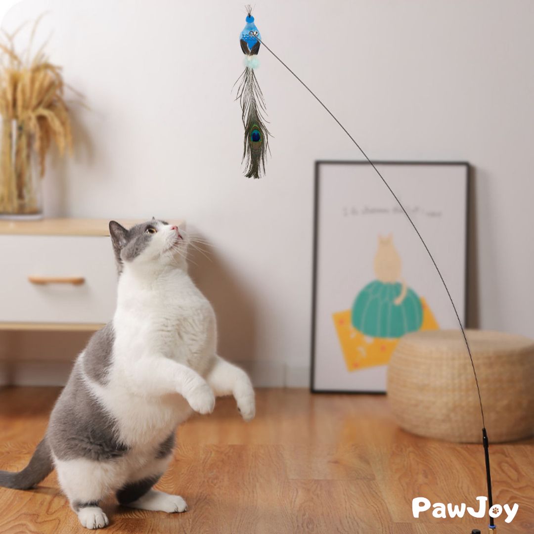 PawJoy™ - Interactive Bird Simulation