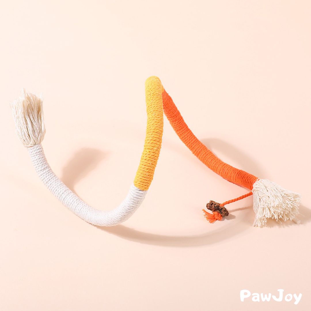 Interactive Chewing Rope with  Natural Gall Fruit