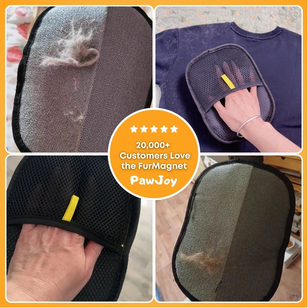 PawJoy™ - FurMagnet