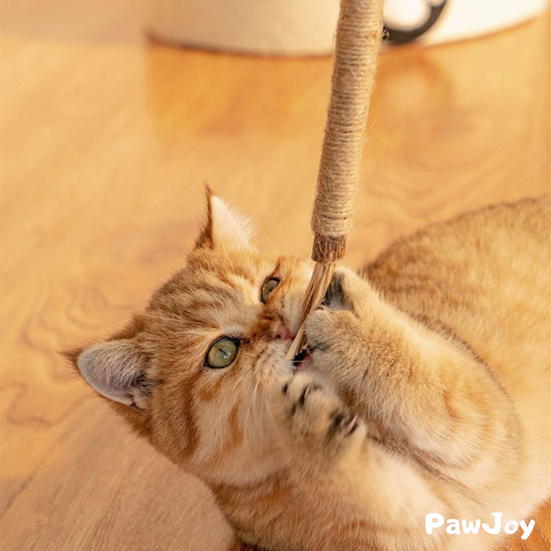 PawJoy™ - Kitty Dental Chew Stick No end of fun!
