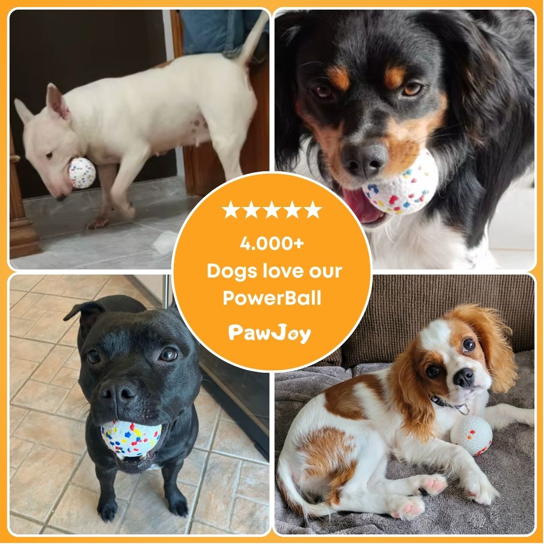 PawJoy™ - PowerBall