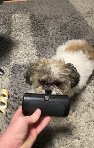 <h1>Magic Fur Brush</h1>